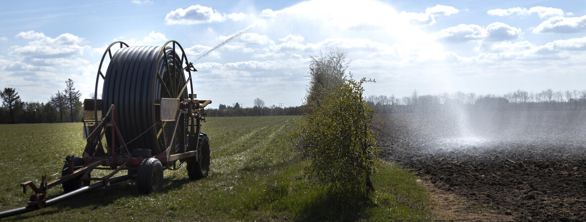 Landwirtschaft