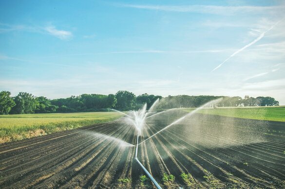 Ein Feld wird künstlich beregnet.