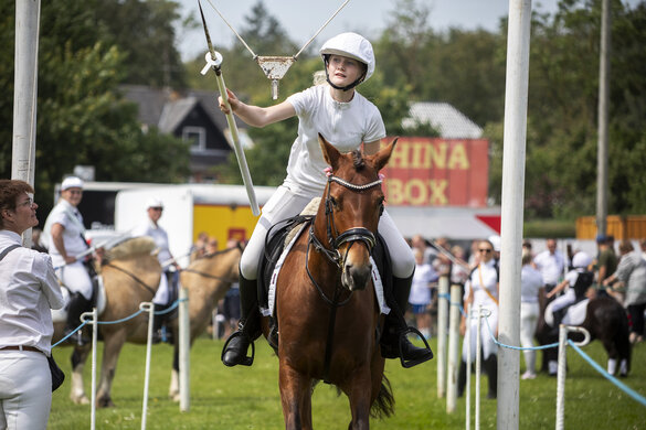 Das Ringreiten in Gravenstein zieht viele Sportlerinnen und Sportler an.