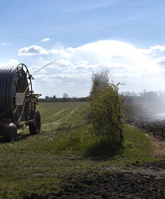 Landwirtschaft