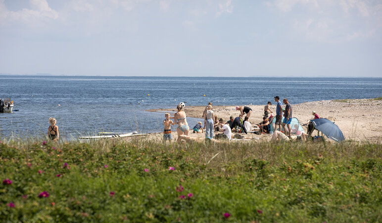 Familien am Strand Vikær